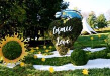 Квіти і романтика: в Києві відкрили квіткову виставку «Історії кохання» співоче поле