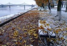 Стало известно, когда в Киеве выпадет первый снег