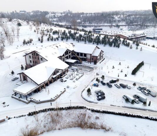 Детский праздник: новогодний переполох в Equides Club