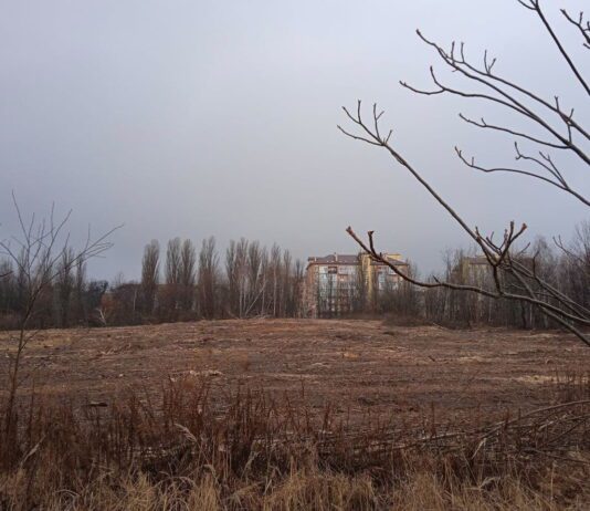 В киевском парке застройщик уничтожает уникальный ореховый сад