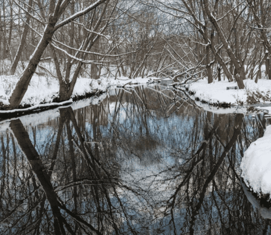 Яким буде новий парк біля річки Почайна