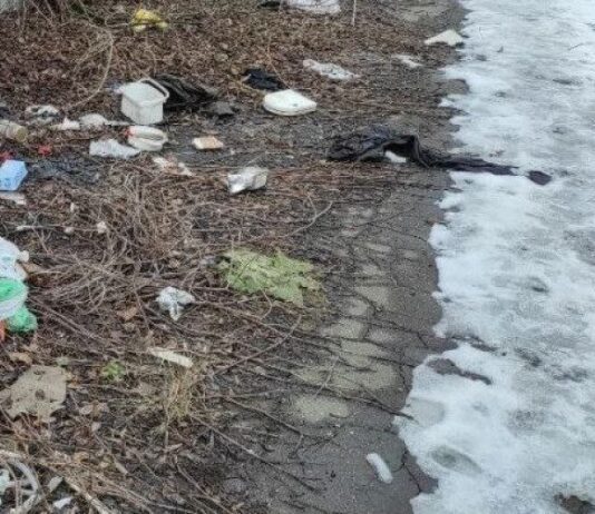 Сміття більше, ніж води: на що перетворилася легендарна річка Либідь