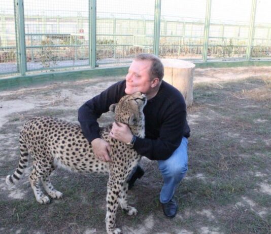 Погибают от голода: как живут зоопарки Киевщины во время войны