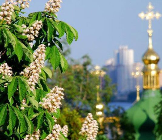 Квітучий Київ – місто каштанів