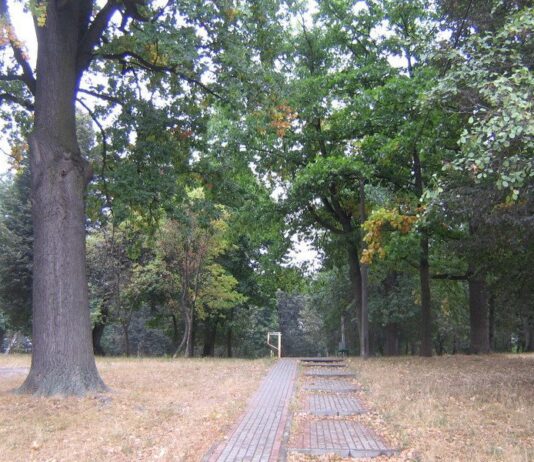 Чому парк Кинь-Грусть небезпечний для прогулянок