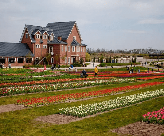 Добропарк: історія створення, цікаві місця та факти