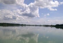 Озеро Заплавне стало ландшафтним заказником: чим відоме водоймище