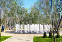 Сирецький парк: місце, де киянам можна добре провести час