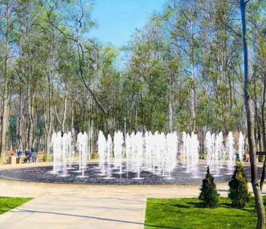 Сирецький парк: місце, де киянам можна добре провести час