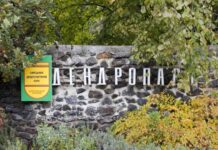Сирецький дендрологічний парк: оазис тиші та атмосфери