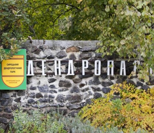 Сирецький дендрологічний парк: оазис тиші та атмосфери