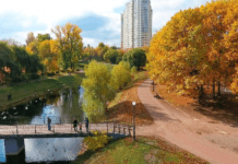 Парк Отрадный: зеленый островок здоровья и хороших впечатлений