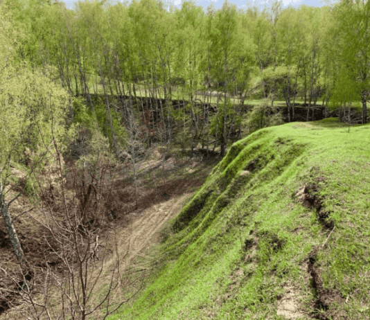 Ландшафтний парк “Васильківські Карпати”: українська Ірландія