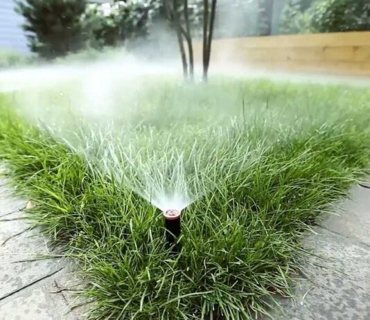 Домашня система поливу газонів: що необхідно для облаштування