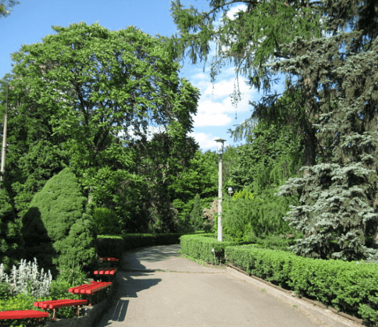 Ботанический сад им. А. В. Фомина: оазис в центре Киева