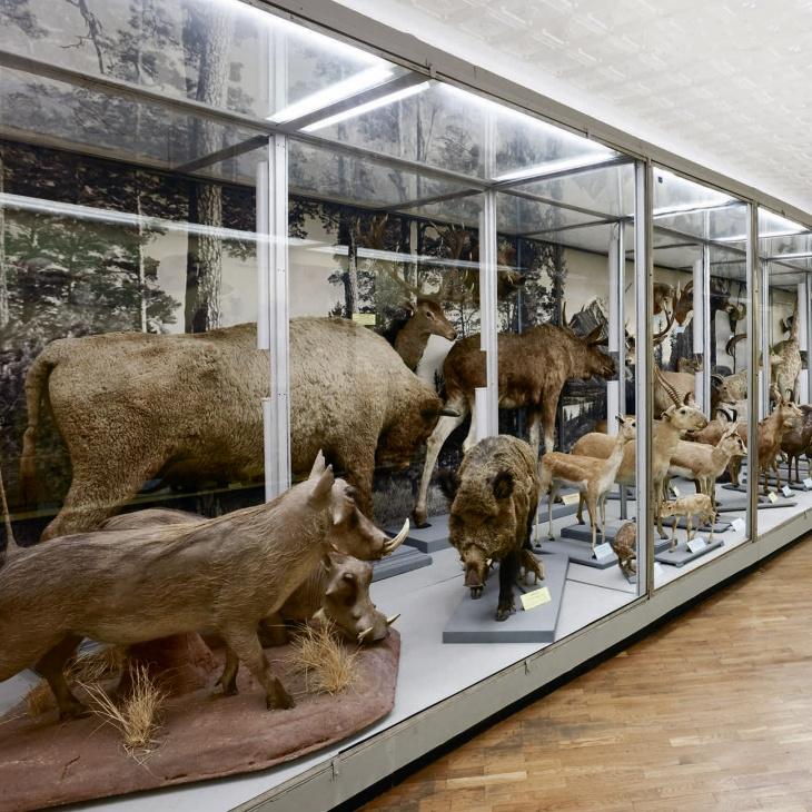 image_61e040800d0cd4.49482366