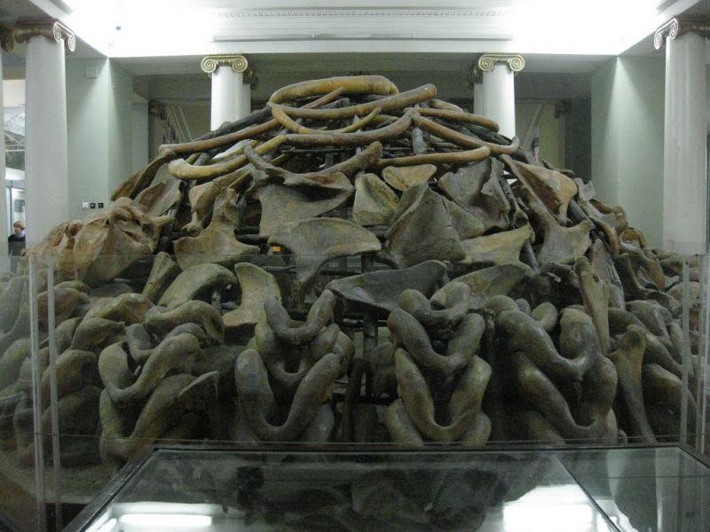 30535_800x600_64462474