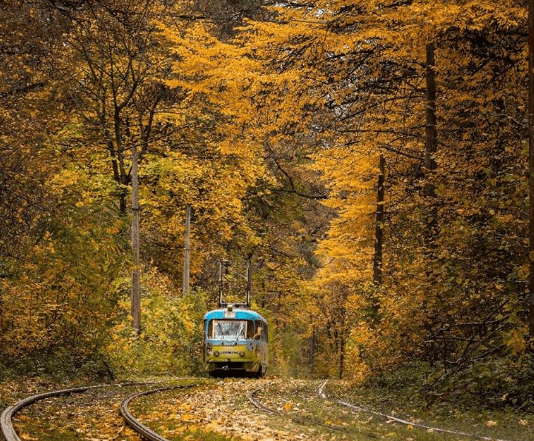Курортна зона Києва – Пуща-Водиця