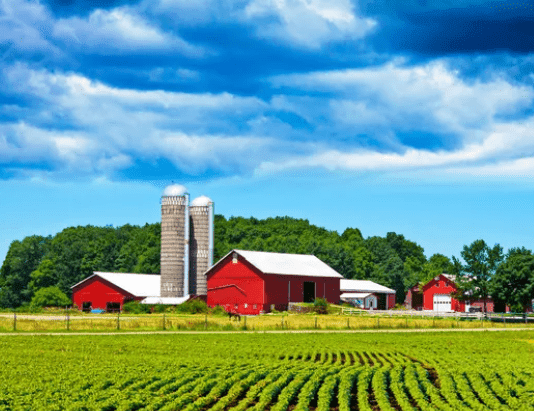 Найцікавіші ферми Київщини