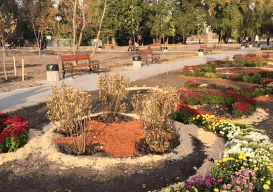 Чому парк «Тельбін» чудове місце для відпочинку та спорту