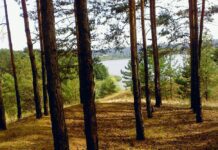 Курортно-рекреаційні ресурси регіону: де найкраще відпочивати на Київщині