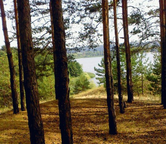 Курортно-рекреаційні ресурси регіону: де найкраще відпочивати на Київщині