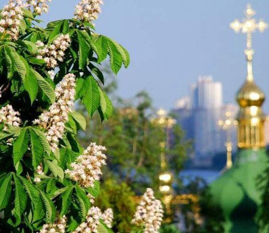 Легені мегаполісів: як озеленювали Київ у 20 столітті