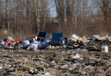 Как киевляне могут приобщиться к сохранению окружающей среды