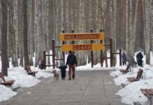 Зимова казка: чому потрібно побувати в парку Совки