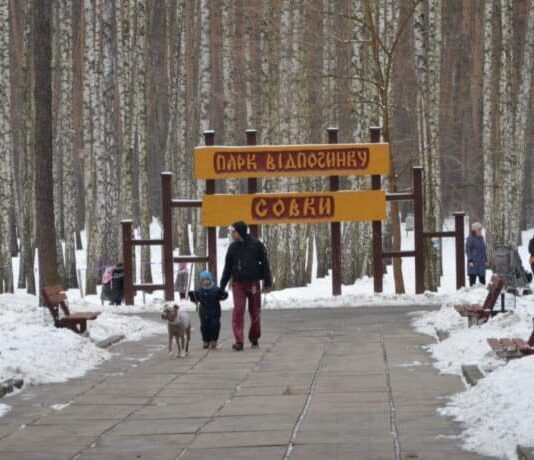 Зимняя сказка: почему нужно побывать в парке Совки