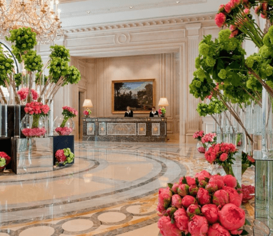 Отель цветов в Киеве: история необычного эко-стартапа