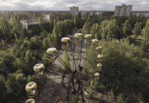 Чернобыльская зона отчуждения: существует ли жизнь после катастрофы