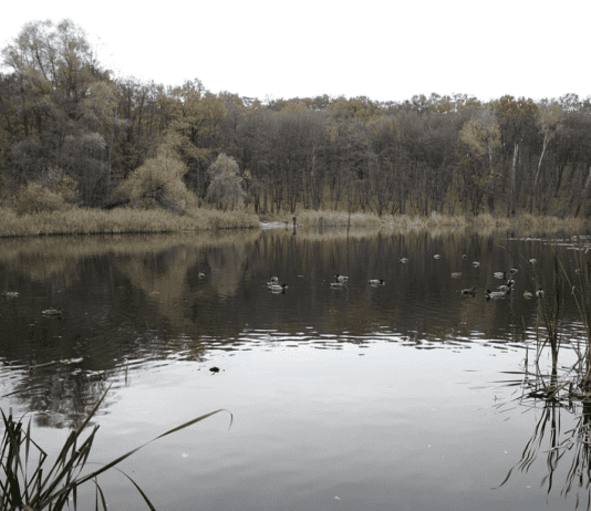 Рекреаційні зони Києва