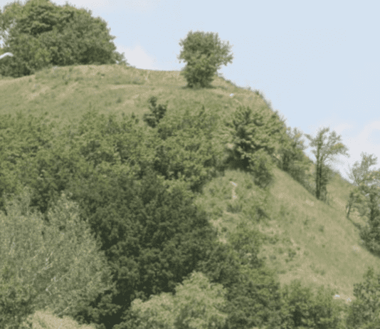 Лиса гора: природна краса та історична спадщина