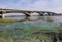 Водные ресурсы Киева: состояние, проблемы и важность их охраны
