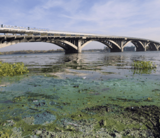 Водні ресурси Києва: стан, проблеми та важливість їх охорони