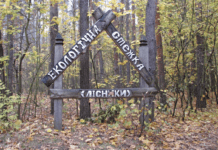 Зеленый туризм в Киеве: экологические маршруты и привлекательность для посетителей