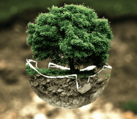 Еко магазини Києва