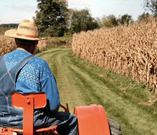 Кліматичні умови, тенденції в сільському господарстві Києва та регіону