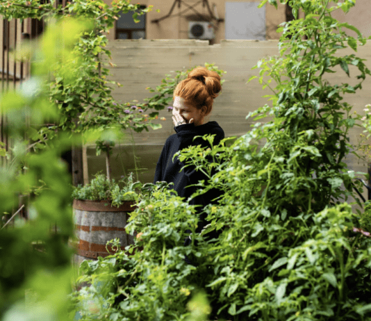 Як у центрі столиці створили міський город: історія проєкту “Сквот-Город”