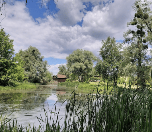 Млин у селі Семенівка, що на Київщині