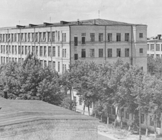 Дарницький шовковий комбінат: історія існування