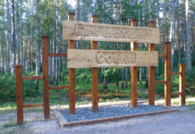 Волшебный лес в Киеве: парк «Совки»