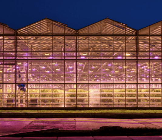 “Асканія-Флора” – лідер квіткового бізнесу