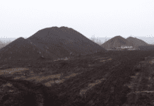 Добыча торфа в Киевской области