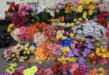 Жити без пластику: досвід пристоличної громади