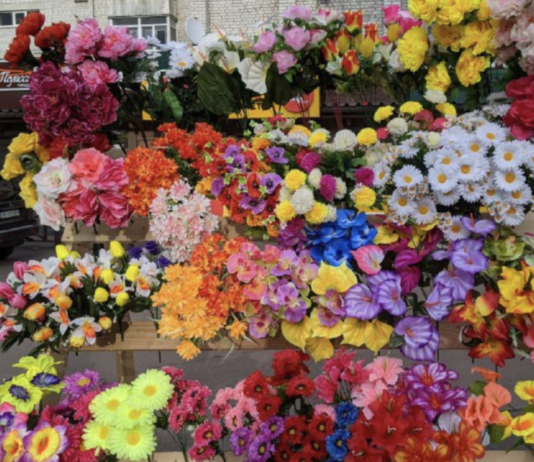 Жити без пластику: досвід пристоличної громади