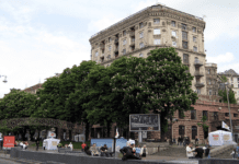 Убийца киевских каштанов