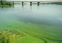 Зеленая и мутная река: почему киевлянам нельзя купаться в Днепре?