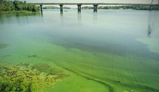 Зелена й каламутна річка: чому киянам не можна купатися в Дніпрі?